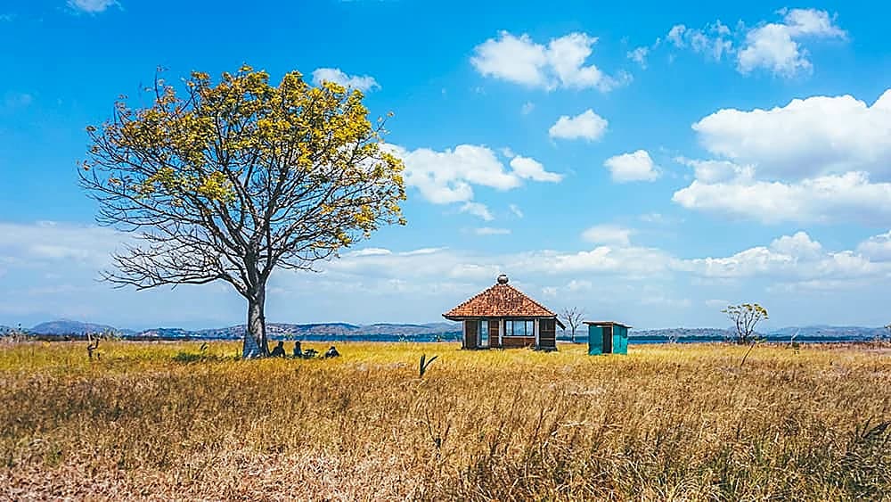 One Day Trip Dangar Ode Island
