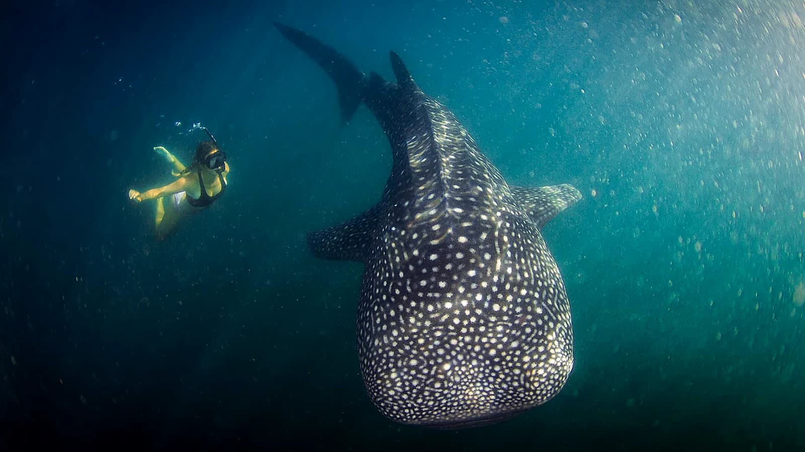 Sumbawa Tour Package 3 Days 2 Nights (D)