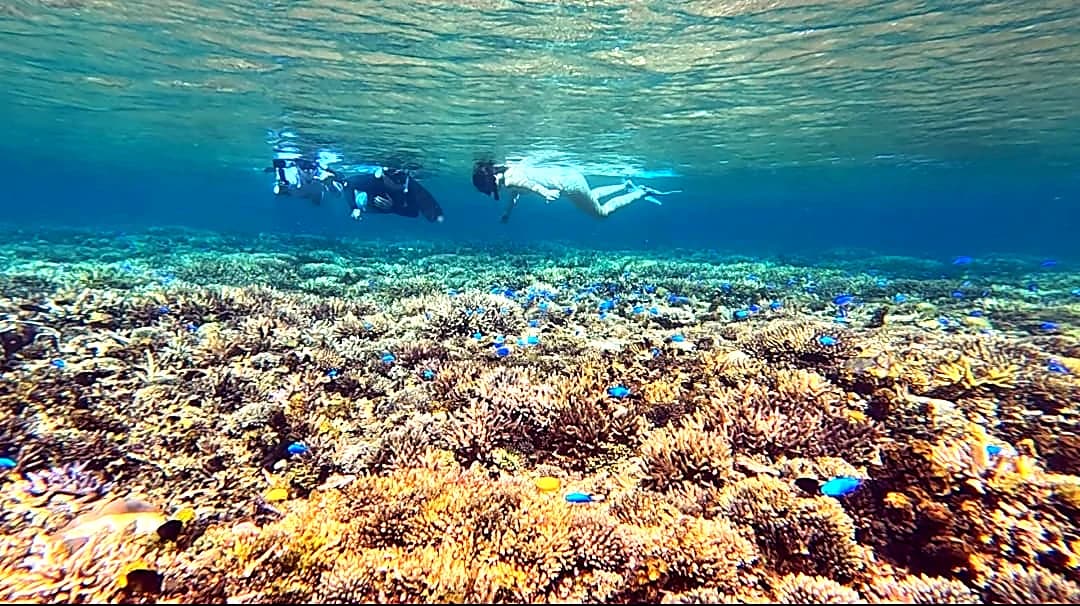 Sumbawa Tour Package 4 Days 3 Nights (B)